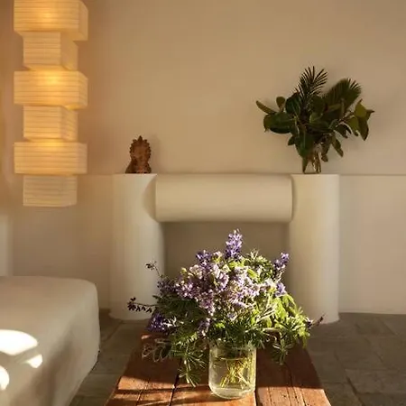 Willa With Pool, Garden And View Nausa