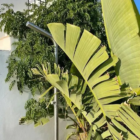Willa With Pool, Garden And View