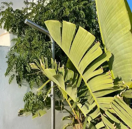 Villa With Pool, Garden And View